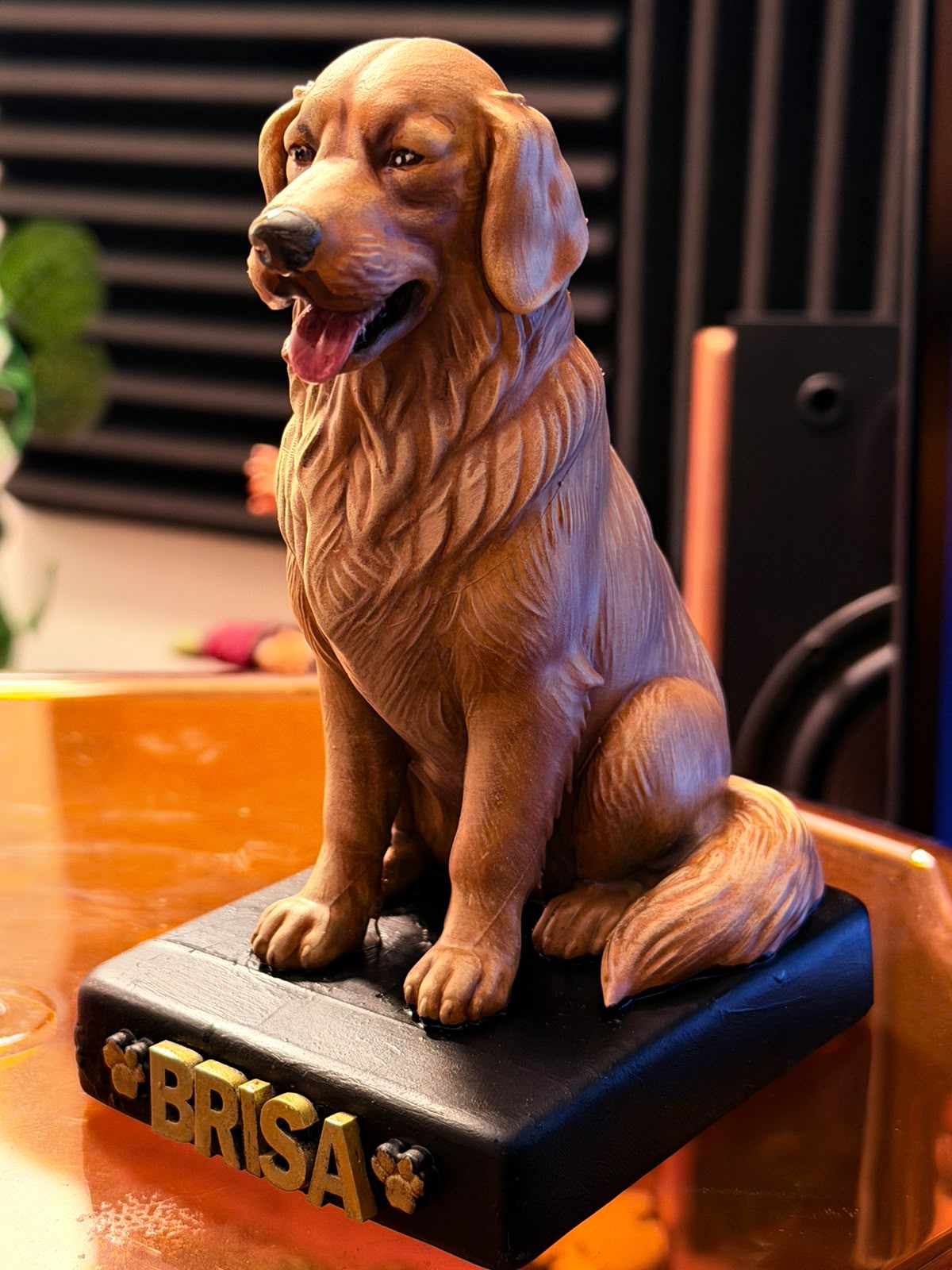 Mascota personalizada "Brisa"